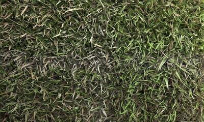 Abstract 3d green grass. Natural background texture.