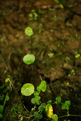 Naturaleza Antioquia