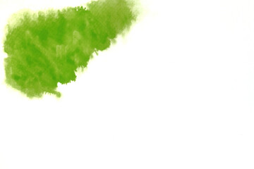 Abstract green or light green watercolor spread or stain on white background,Color Abstract	