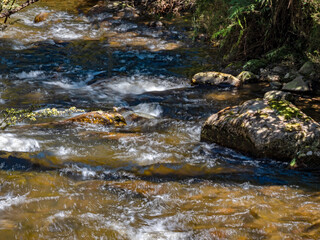 Bubbling Through Shadows