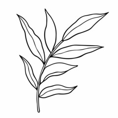 Abstract twig with leaves isolated on a white background. Vector hand-drawn illustration in outline style. Perfect for cards, logo, decorations, invitations.