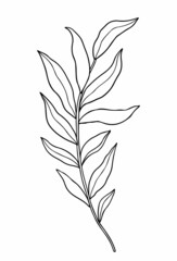 Abstract twig with leaves isolated on a white background. Vector hand-drawn illustration in outline style. Perfect for cards, logo, decorations, invitations.