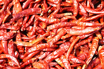 Close-up of red dried chili in full frame