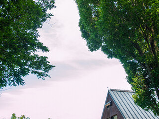 公園の三角屋根と樹木と空と雲