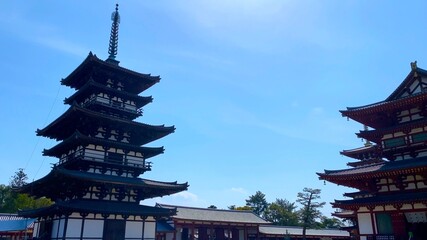 春の奈良　薬師寺　国宝・東塔