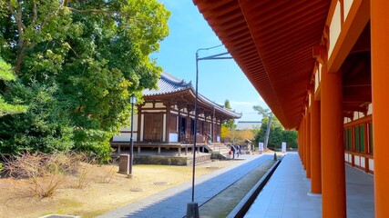 春の奈良　薬師寺　回廊から見る国宝・東院堂