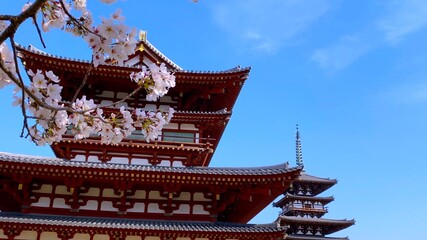 春の奈良　薬師寺　国宝・東塔と金堂（手前）