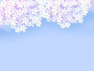 桜のシンプルフレーム（薄青背景）