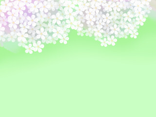 桜のシンプルフレーム（薄緑背景）