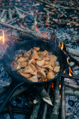 Fried mushrooms in a pan in the forest. Fried food in nature. Bushcraft in the  forest. Cooking on an open fire. 