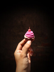 Cup cake plasticine clay art