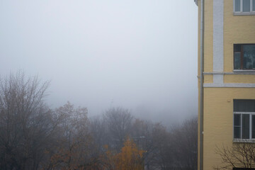 city foggy morning