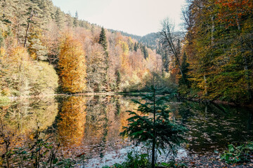 Autumn colored trees reflecting in water