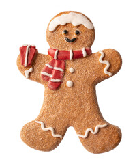 Tasty gingerbread cookie isolated on white background