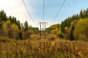 Power lines passing an autumn colored landscape in Sweden