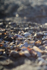 pebbles on the beach