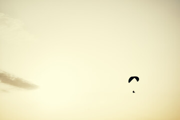 Paraplane on the sunset sky background, leisure activity.