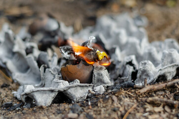 Ashes from a burnt egg tray and a burning chicken egg. An empty
