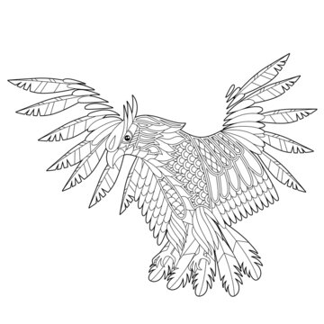 Contour linear illustration for coloring book with decorative eagle. Beautiful predatory  bird,  anti stress picture. Line art design for adult or kids  in zen-tangle style, tatoo and coloring page.