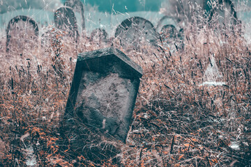 Spooky cemetery. Halloween background.
