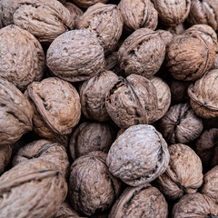 close up of walnuts