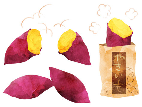 焼き芋 の画像 5 098 件の Stock 写真 ベクターおよびビデオ Adobe Stock