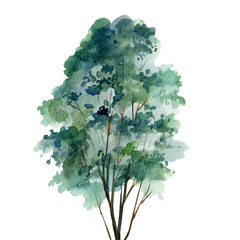 Tree on isolated white background, watercolor illustration