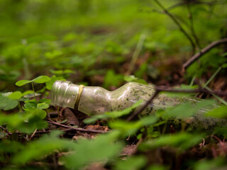 the bottle lies in the forest. Glass trash. Pollution of ecology and nature.