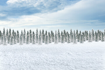 Snowy fir trees