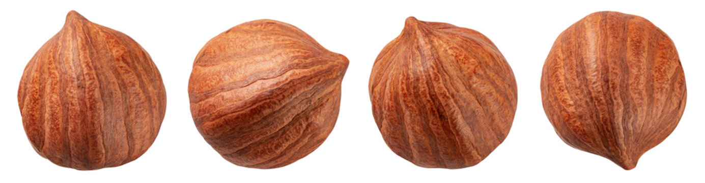 Hazelnut collection. Hazelnut set isolated on white background. Top view hazel. With clipping path. Full depth of field.