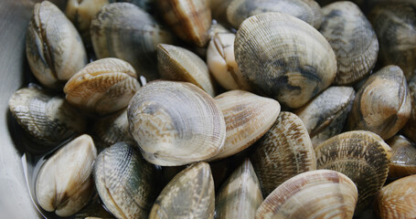 Fresh raw clam prepare for cooking