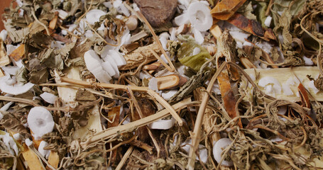 Traditional chinese herbal medicine close up