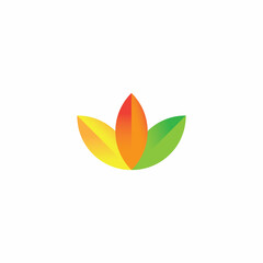 colorful leaf logo