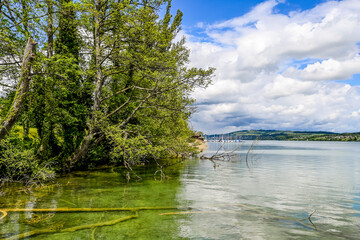 Beinwil, Hallwilersee, See, Seeufer, Boote, Schiffssteg, Seeuferweg, Naturschutzgebiet, Dorf, Naturschutzgebiet, Schifffahrt, Aargau, Sommer, Schweiz
