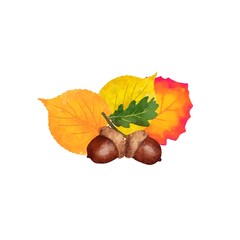 autumn leaves and acorns