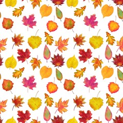 Fototapeta premium autumn leaves seamless pattern