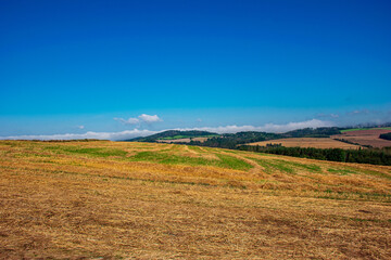 Summer landscape in Czechia