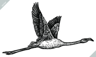 black and white engrave isolated flamingo vector illustration © Turaev
