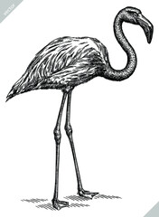 black and white engrave isolated flamingo vector illustration © Turaev