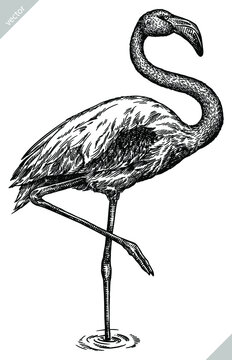 black and white flamingo standing in water clip art preview
