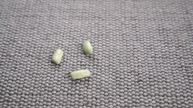 Green organic verdina beans falling on a gray rustic jute fabric in slow motion. Dried legumes close up. Agriculture. Traditional Spanish Mediterranean cuisine concept, Asturias Region