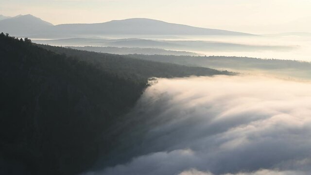 Ocean of clouds slowly drifting among tree tops in the morning. Aerial view of scenic sunrise in mountains