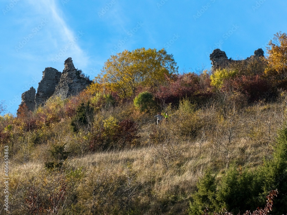 Sticker forest fall autumn