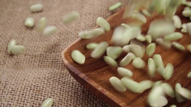 Uncooked green Verdina beans falling into wooden bowl on a rustic rough burlap close up. Raw dry legumes from Asturias and Galicia, Spain. Traditional Spanish cuisine. Slow motion