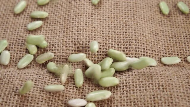 Uncooked Verdina bean (from Asturias and Galicia) falling on a rustic rough burlap close up. Raw dry legumes. Slow motion. Traditional Spanish cuisine. Healthy organic food