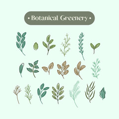 set collection of hand drawing botanical greenery 
