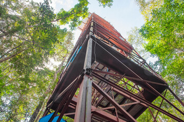 Observation tower in Amazon jungle, Brazil