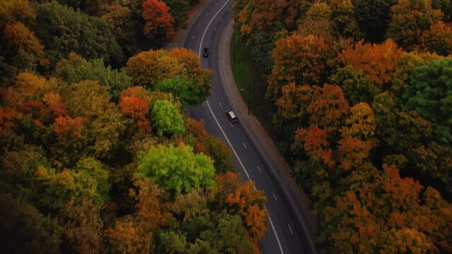 An aerial view of cars driving on Parodos street in Kaunas, Lithuania