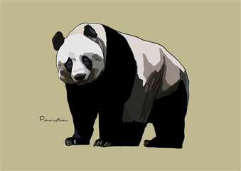 Vector Illustration of adorable Panda © be_u_and_i