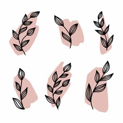 Fototapeta premium Vector drawing of twigs